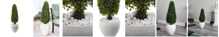 Nearly Natural 41" Boxwood UV-Resistant Indoor/Outdoor Artificial Topiary with Textured White Planter 